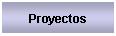 Text Box: Proyectos